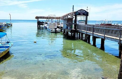 Antoneys Cay Apartment | 2 bedroom apartmen in the heart of west end!