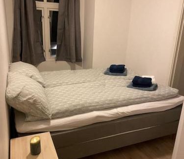 Trondheim City Centre Apartment | 2 Bedroom Apartment Located Downtown Trondheim