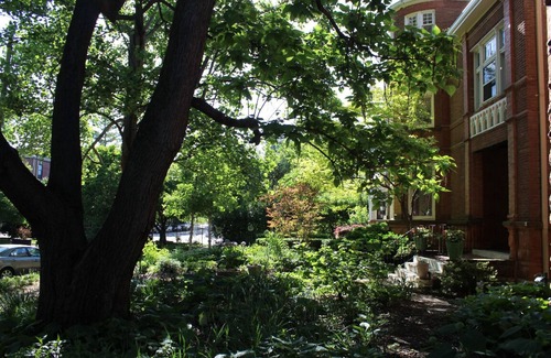 Central West End House | 2-Bedroom Apartment on 3rd Floor of 1895 Victorian Home w secured side entrance