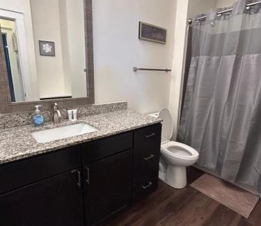 Charlotte Apartment | 2 Bedroom Boutique Apartment in the Heart of Charlotte