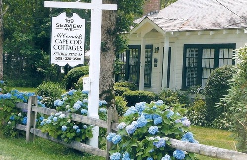 South Yarmouth Cottage | 2 Bedroom Cottage in South Yarmouth - Walk 1,000' to the Beach