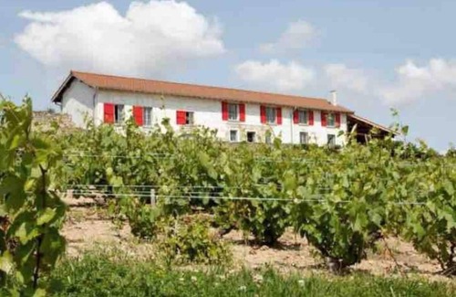 Villie-Morgon House | 2-bedroom gîte with panoramic views, surrounded by vineyards and surrounded by nature.