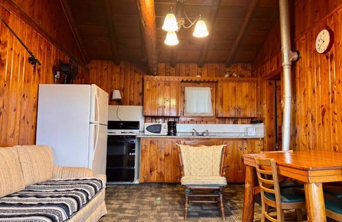 Trout Lake Cabin | 2-bedroom Lakefront Cabin #1 in Trout Lake, MI. Row boat & campfires included.