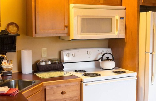 Millersburg Apartment | 2 Bedroom Lodge Suite Half a Mile To Berlin