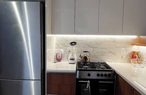 Bushwick Apartment | 2-bedroom PH Level Apt in Williamsburg with Huge Terrace and City Views Roof.