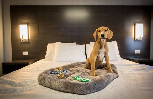 Henderson Hotel | 2 Double Beds Accessible Non Smoking at Envi Boutique Hotel
