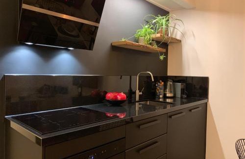 Delft Apartment | 2 Double floor Delft City Centre new family apartment 38C