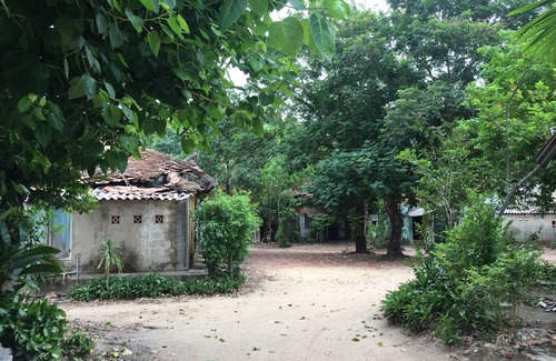 Hue House | 2 guest, 1 bed, 1 bath, a garden