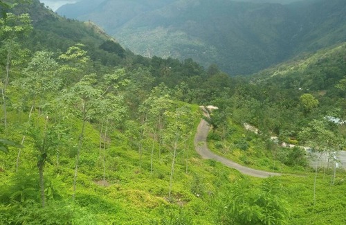 Ella Villa | 2 luxurious room,2 clay House, 9 bed larger room for group of family,20 tentnnn