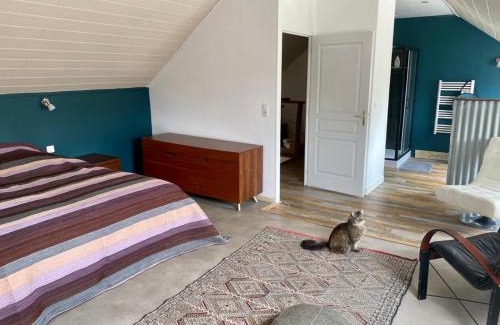 Plouha House | 2 Moutons