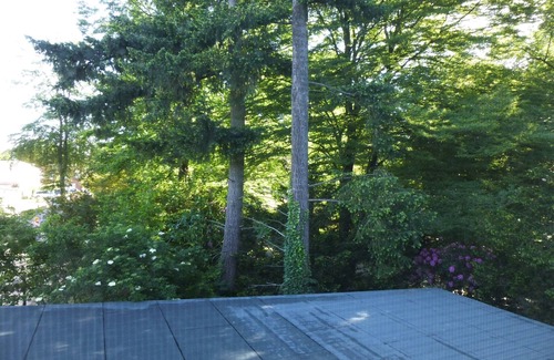 Pinneberg Apartment | 2-room apartment on the outskirts of Hamburg - wallbox - top equipment
