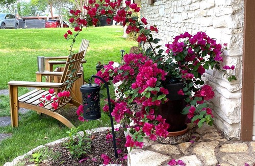 Barton Hills Apartment | 2 Room Suite In Beautiful Barton Hills-Perfect for SXSW, ACL and Barton Springs