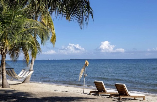 Plantation House | 2 Spacious Units, Onsite Pool, Free Airport Shuttle, Free Parking