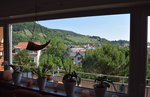 Neustadt an der Weinstrasse Apartment | 2-storey apartment with a fantastic view for couples, small groups and musicians
