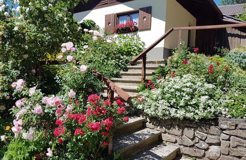 Habischried Apartment | 2 vacation apartments - with heart/at the Geißkopf MTB-Bikepark-Fam.Trailpark!