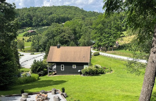 Cullowhee Cabin | 2 Views! Front view of Lake Glenville & back view of Christmas Tree farm!