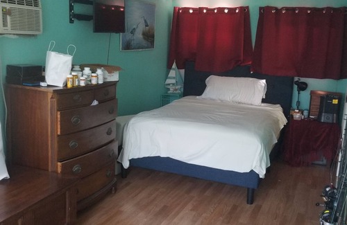 Little Torch Key House | 20 ft from your room to a clean canal full of fish and lobsters and crabs.