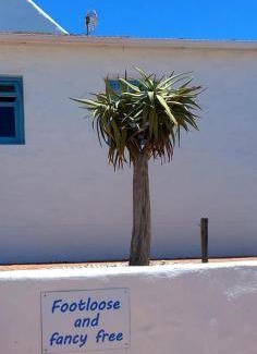 St. Helena Bay Bed & Breakfast | 20 m² Bed and breakfast ∙ 2 guests