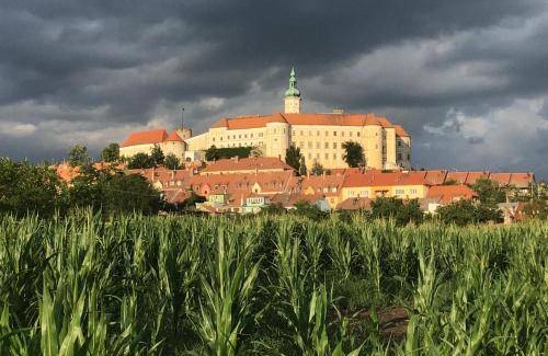 Mikulov Bed & Breakfast | 20 m² Bed and breakfast ∙ 4 guests