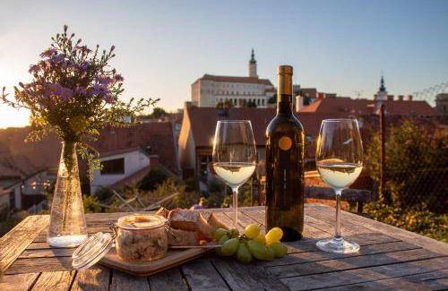 Mikulov Bed & Breakfast | 20 m² Bed and breakfast ∙ 4 guests