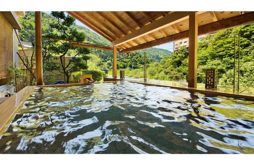 Unazuki Onsen Hotel | 20 m² Hotel ∙ 1 bedroom ∙ 2 guests