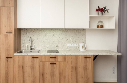 Vilnius Apartment | 202 VNO Airport apartments equipped for full life