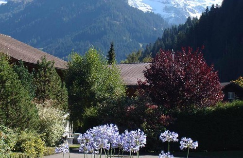 Lenk Apartment | 22 m² Apartment ∙ 1 bedroom ∙ 2 guests