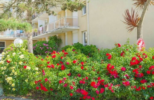 Quiberon Apartment | 24 m² Apartment ∙ 1 bedroom ∙ 3 guests