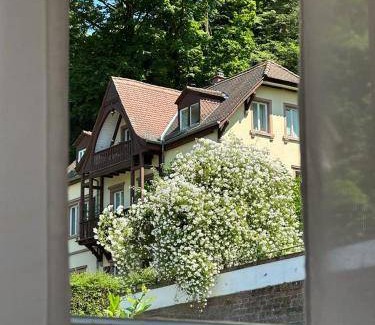 Heidelberg Bed & Breakfast | 25 m² Bed and breakfast ∙ 2 guests
