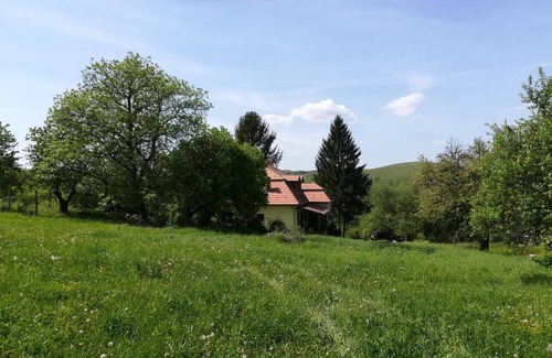 Csernely House | 250 m² House ∙ 5 bedrooms ∙ 10 guests