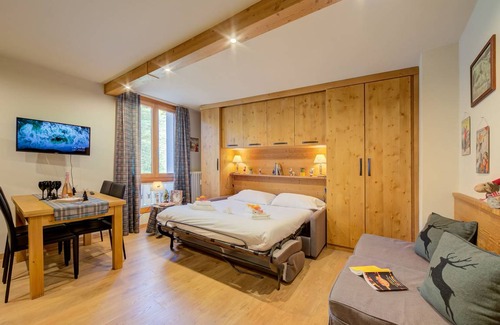 Pragelato Apartment | 28 m² Apartment ∙ 1 bedroom ∙ 2 guests