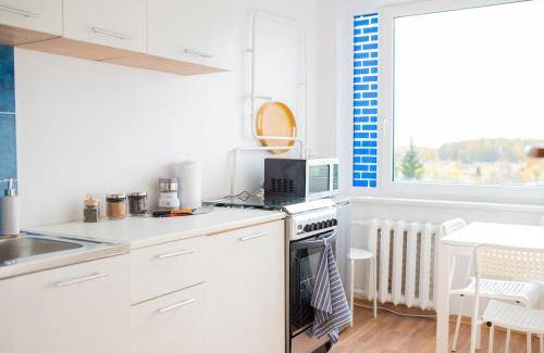Siauliai County Apartment | 29 m² Apartment ∙ 1 bedroom ∙ 4 guests