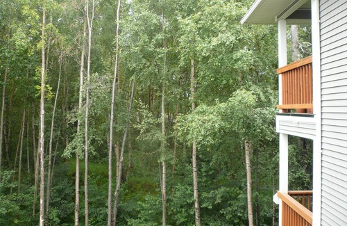 Taku - Campbell Condo | 2BR/2BA Condo in the heart of Anchorage-Along Trail System