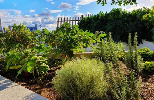 Newstead Apartment | 2BR Food Drink Hub Pool 2 Cars Gym Rooftop