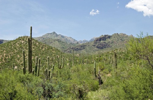 Miramonte Resort | 2BR w/WiFi & Resort Pool Near Attractions- Golf, Hike, Explore, Shop & Dine!