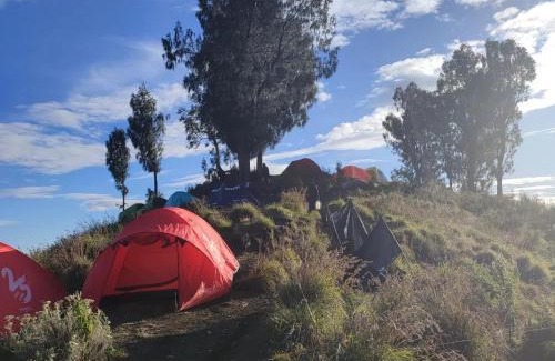 Bayan Other | 2Days Shared Camping At Mount Rinjani