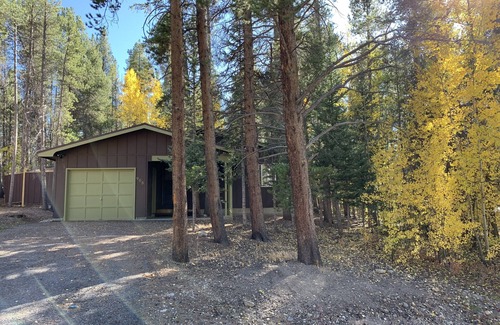 Leadville North Cabin | 3 Bed 2 Bath cabin nestled in the pines between Leadville and Turquoise Lake.