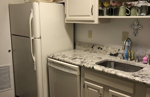 Faubourg Livaudais Condo | 3 Bed 2 Bath On St Charles With 2 Parking Spaces Across From Street Car Stop