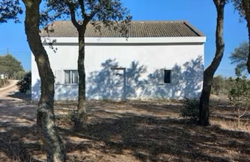 Santiago do Cacem House | 3 bedroom private vacation home in sã£o bartolomeu da serra