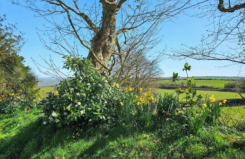 Llanfihangel-Ystrad Cottage | 3 bedroom accommodation in Dihewyd, near Aberaeron