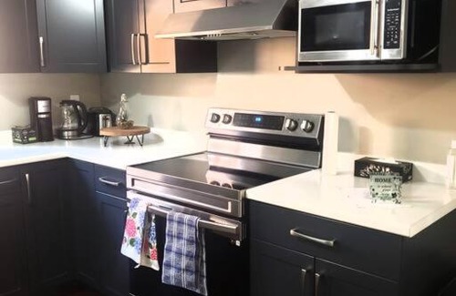 LaSalle Apartment | 3 Bedroom basement unit with Free Parking , WiFi.