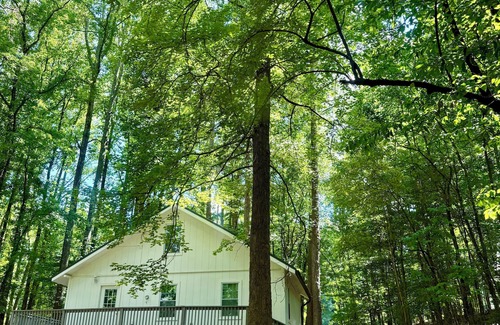 Buford Cabin | 3 bedroom Cabin on Lake Lanier Buford with WiFi, AC