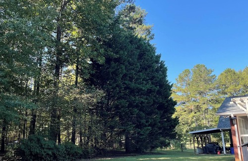 McDonough House | 3-bedroom house in fabulous McDonough with AC
