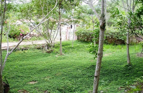 Lencois House | 3 BEDROOM HOUSE in LENÇÓIS/Chapada Diamantina. 2 Floors. Plot of 1,000 m2.