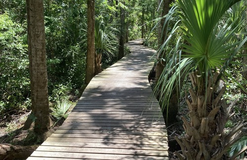 Rockledge House | 3-Bedroom Oasis with Pool in Sunny Tropical Florida! Minutes from the Beach! n n