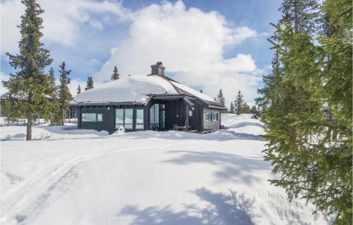 Sjusjoen House | 3 Bedroom Stunning Home In Sjusjøen