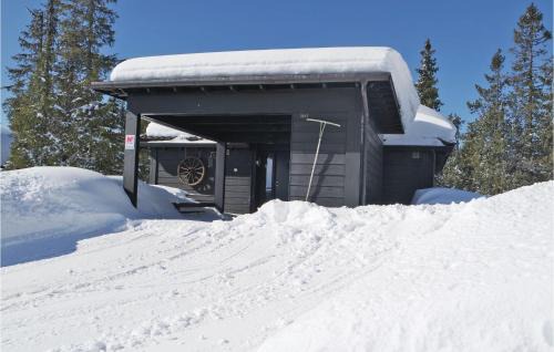Sjusjoen House | 3 Bedroom Stunning Home In Sjusjøen