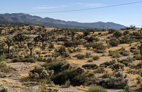 Yucca Valley Cabin | 3-beds in a cabin in fabulous Yucca Valley with swamp cooler, WiFi