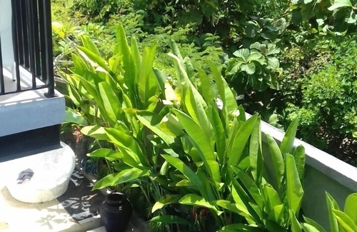 Ungasan Villa | 3 BR Villa Close To Beach Ungasan Bali