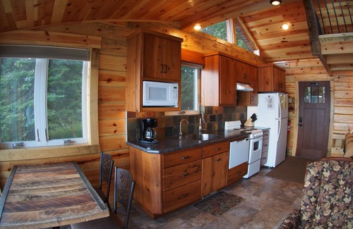 Park Rapids Cabin | 3 ft from water - tiny house with everything you need